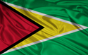 Picture of Flag of Guyana